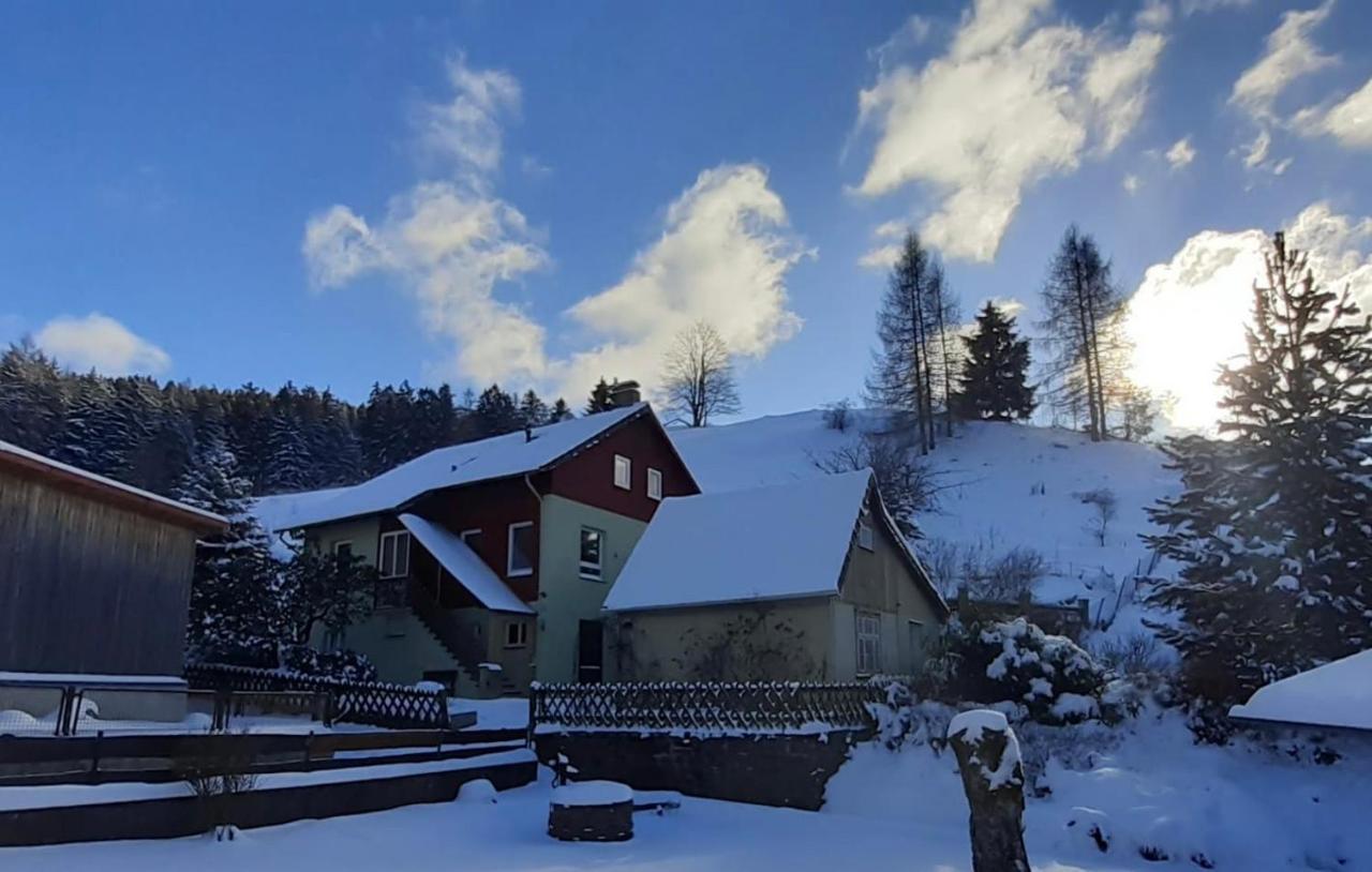 Platell Ferienhäuser Lerbach Exteriör bild