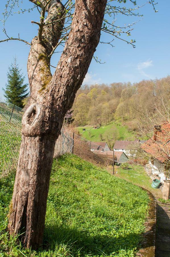 Platell Ferienhäuser Lerbach Exteriör bild